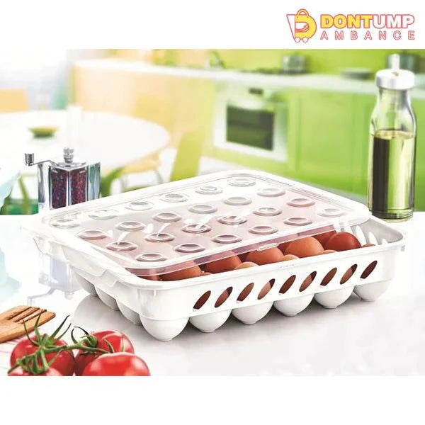 Egg Container - For 24 Eggs