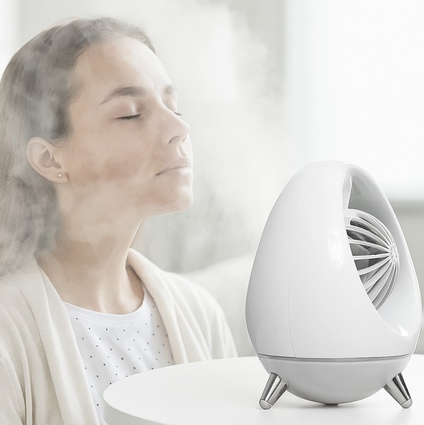 Mini Humidifier & Cooling Fan – Egg Design with LED Light Mist Diffuser