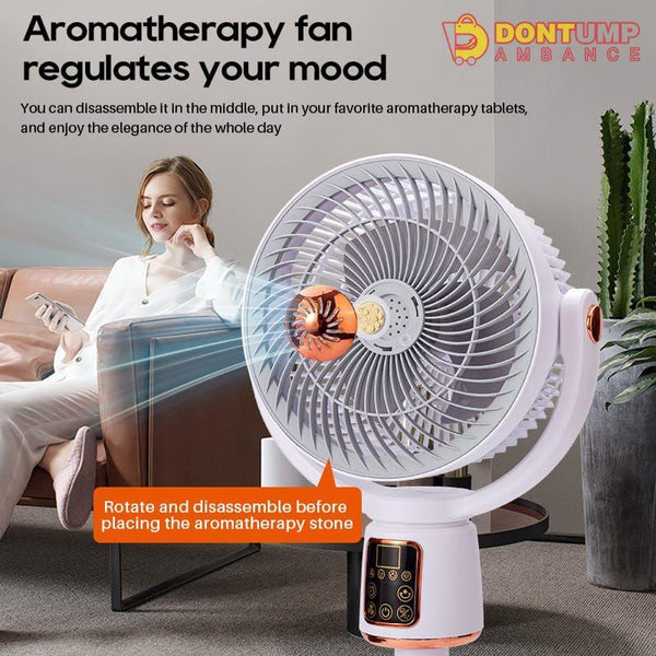 Rechargeable fan