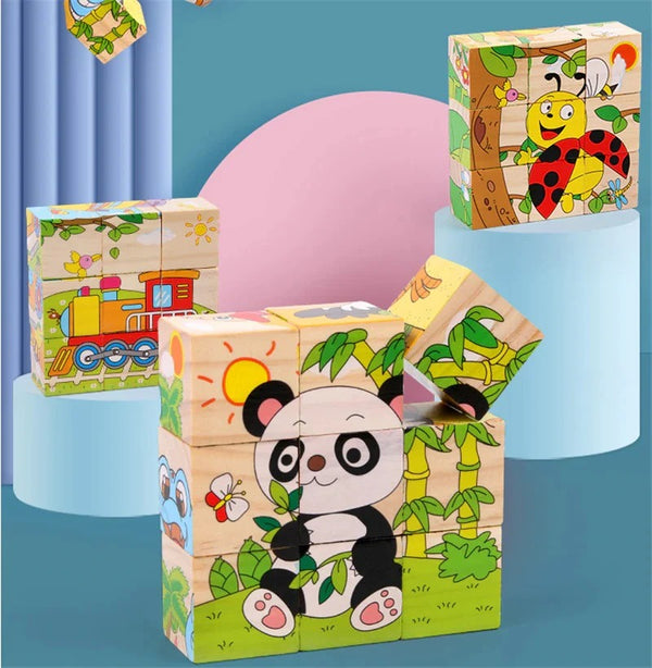 6 in 1 Wooden Block Puzzle ( Random Design )